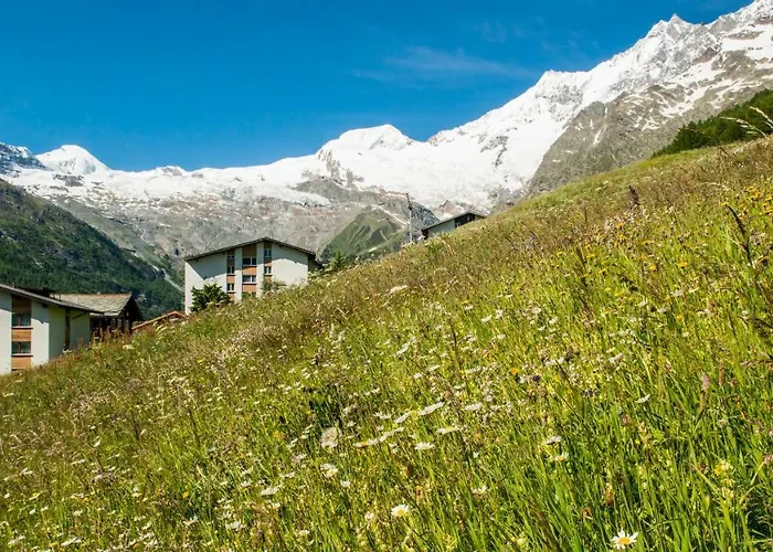 ハウス ベル ヴュー